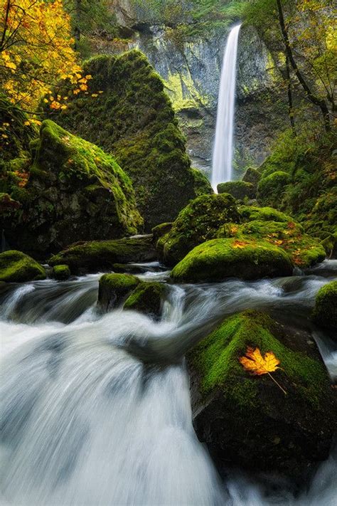 Elowah Falls A Breathtaking Waterfall In The Columbia River Gorge In