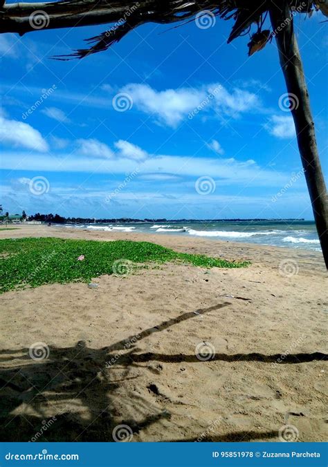 Beautiful Beach In Mannar In Sri Lanka Stock Photo Image Of Asia