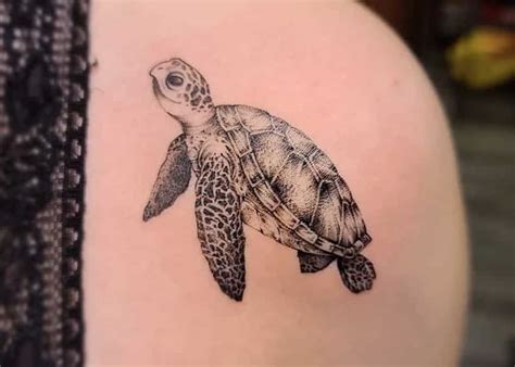 Discover 68 Turtle Tattoos Men Best In Coedo Com Vn