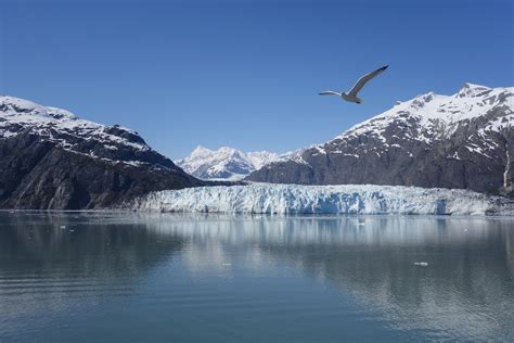 The Spectacular Margerie Glacier On A Beautiful Spring Day At Glacier