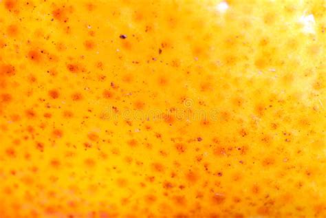 Orange Skin Stock Photo Image Of Diet Micro Amber 23881696