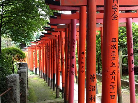 11 Epic Things To Do In Tokyo — Acanela Expeditions