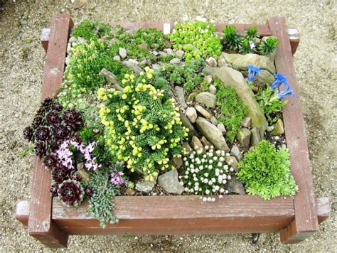 Looking for a garden design with lots of rocks involved? 18 Simple Small Rock Garden Designs