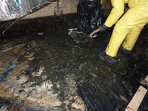 Sewage Cleaning Water Damage Repair Clean Up And Restoration Services