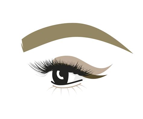 Eyebrow And Eye With Eyelashes Makeup For Beauty Salon 3016787 Vector