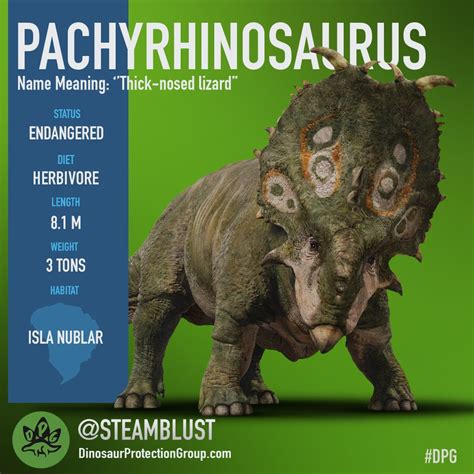 Pachyrhinosaurus Dinosaur Protection Group Wiki Fandom