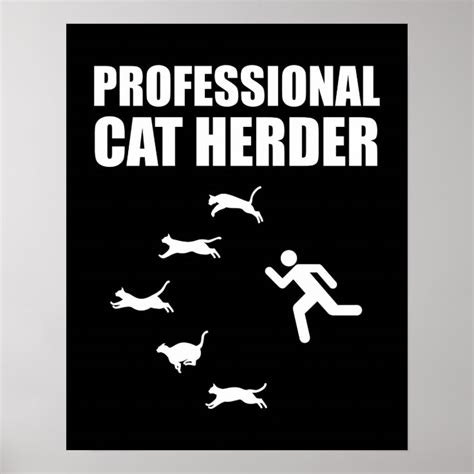 Professional Cat Herder Funny Herding Cats Poster Zazzle