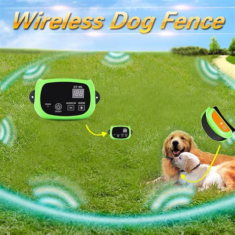 How To Choose The Perfect Wireless Dog Fence My Decorative