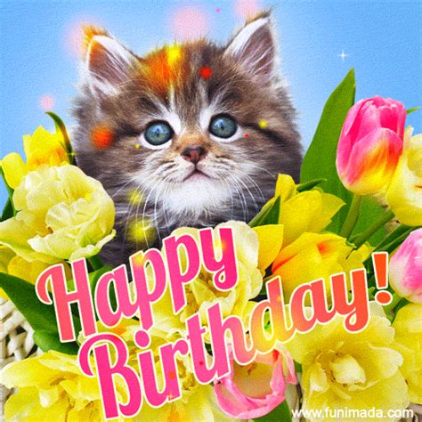 Happy Birthday My Dear Cute Cat Birthday Card