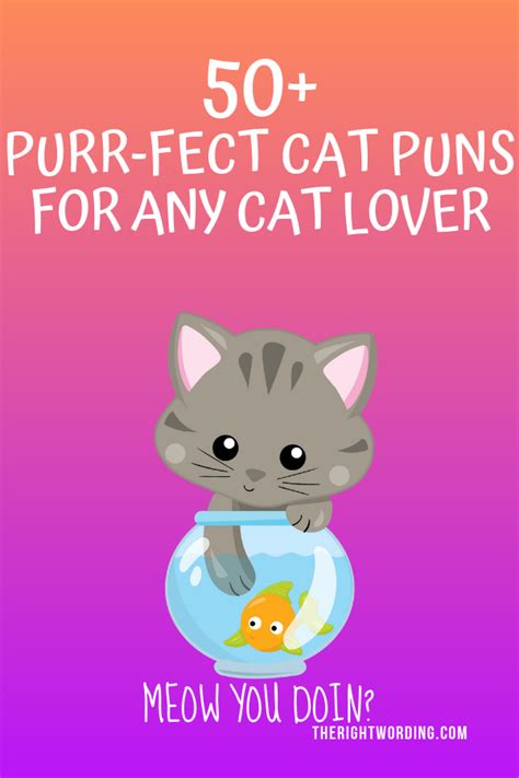 50 Hiss Terically Purr Fect Cat Puns For Any Cat Lover