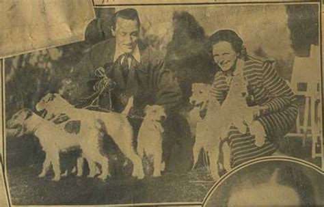 Mr And Mrs Warren William With 5 Of Their Wire Haired Terriers