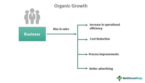 Organic Growth Meaning Vs Inorganic Growth Strategies