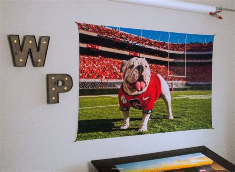 Uga Georgia Bulldogs Art Uga X In The Endzone Mascot Tapestry Poster