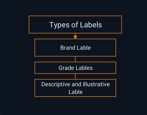 What Is Labelling Definition Role Purpose Types Of Labels