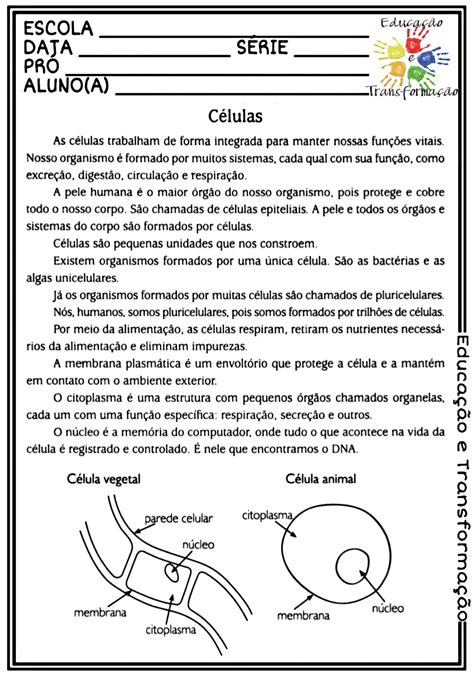 Atividade Células 4 Ano