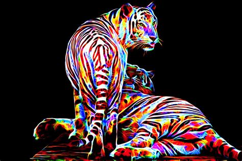 Colored Tigers By Megaossa On Deviantart