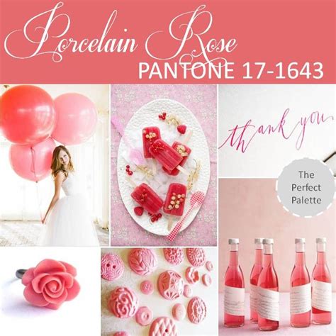 Pantone Palette Porcelain Rose Pantone 17 1643