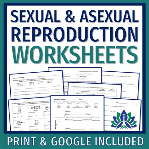 Sexual And Asexual Reproduction Worksheet Worksheets Printable Free