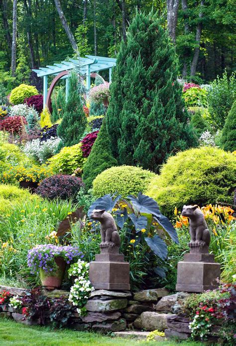 10 Outstanding Evergreen Trees For Privacy Better Homes And Gardens