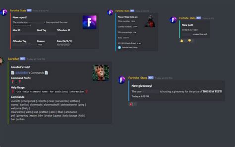 Create A Custom Premium Discord Bot By Justidan Fiverr