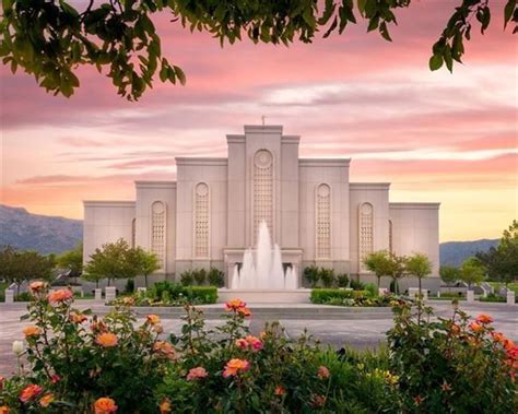 Albuquerque Morning Rose In 2021 Lds Temple Pictures Lds Temples