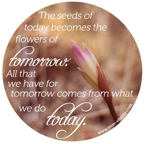 The Seed Of Today Becomes The Seed Of Tomorrow Al That We Have For