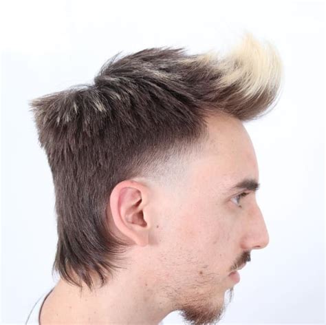 Mullet Haircut Ideas For Modern Mullet For Hairstyle On Point