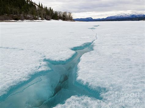 Cracked Ice Of Frozen Lake Laberge Yukon Canada Photograph By Stephan