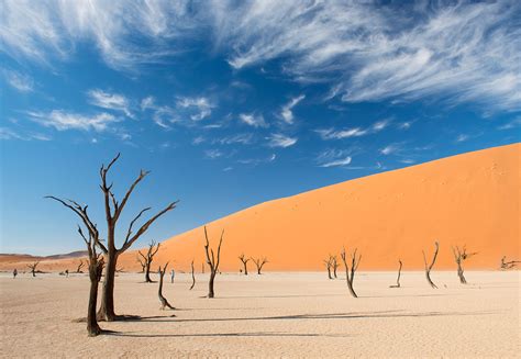 Namibia Fun Facts You Probably Didnt Know Southern Africa 360