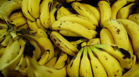 Bananas Are Going Extinct And Heres Why Second Nexus