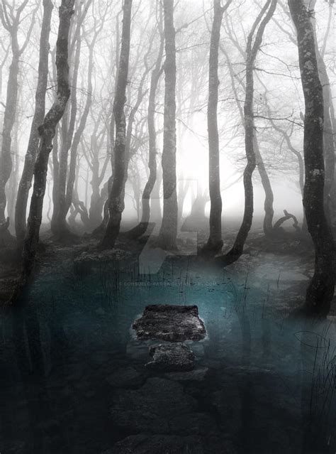 Pond Forest Stock By Consuelo Parra On Deviantart