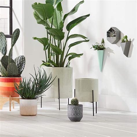 And because they are designed dynamically and built to last, they are the perfect addition to every type of project. Rivet Mid-Century Modern Ceramic Indoor Outdoor Planter ...