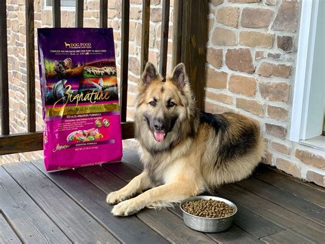 This package of wet dog food comes with three different formulas: Improve the Coat and Skin of Your Dog with Dog Food with ...