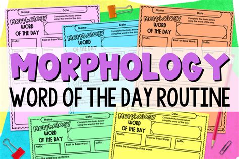 Morphology Activities For Grades 4 5 Including Free Activities