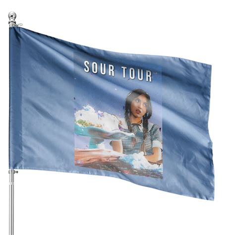 Olivia Rodrigo Sour Tour Classic House Flags