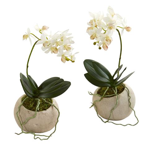 9” Mini Orchid Phalaenopsis Artificial Arrangement In Stone Vase Set Of 2 Nearly Natural