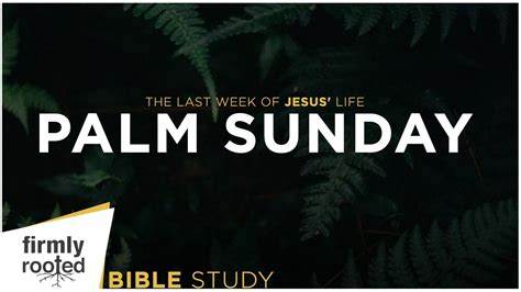 Palm Sunday Firmly Rooted Bible Study 452020 Youtube
