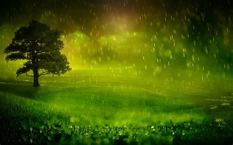 Nature Rain Wallpapers Best Collection Beautiful Rain Hd Wallpapers