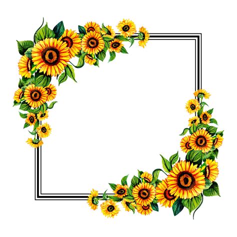 Floral Frame Png Transparent Image Download Size 1000x1000px