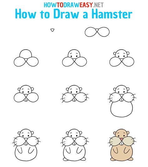 How To Draw A Hamster For Kids How To Draw Easy