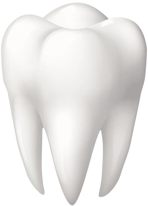 Tooth Png
