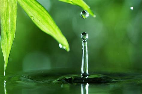 Water Drop Photography Tutorial Complete Guide For Beginners