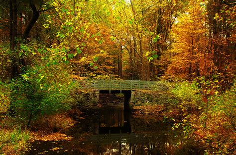 Autumn Bridge Ii Photograph By William Carroll Fine Art America