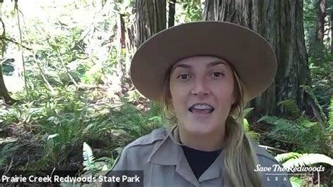 How California State Parks Is Bringing Redwoods Into People’s Homes Youtube