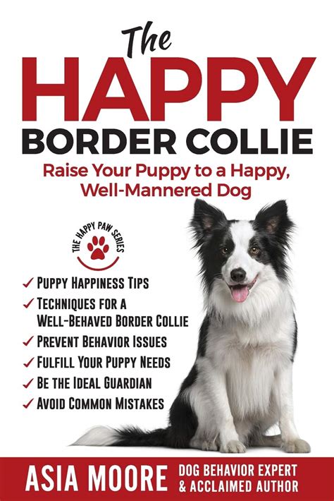 14 Books Every Border Collie Dog Owner Should Read The Dogman