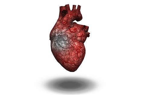 Advances In Regeneration Of Damaged Heart Scientific European