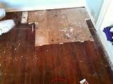 Images of Termite Damage Hardwood Floors