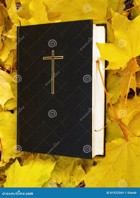 Bible Holy Bible With Fallen Autumn Leaves Stock Image Image Of Gold