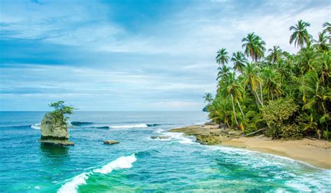 Mejores Lugares Para Visitar Costa Ricas Costa Caribe En 2022