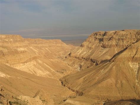 Israel Day 4 Through The Wilderness Into Jerusalem